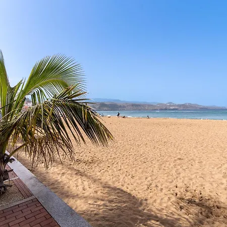 Coral Dream Canteras